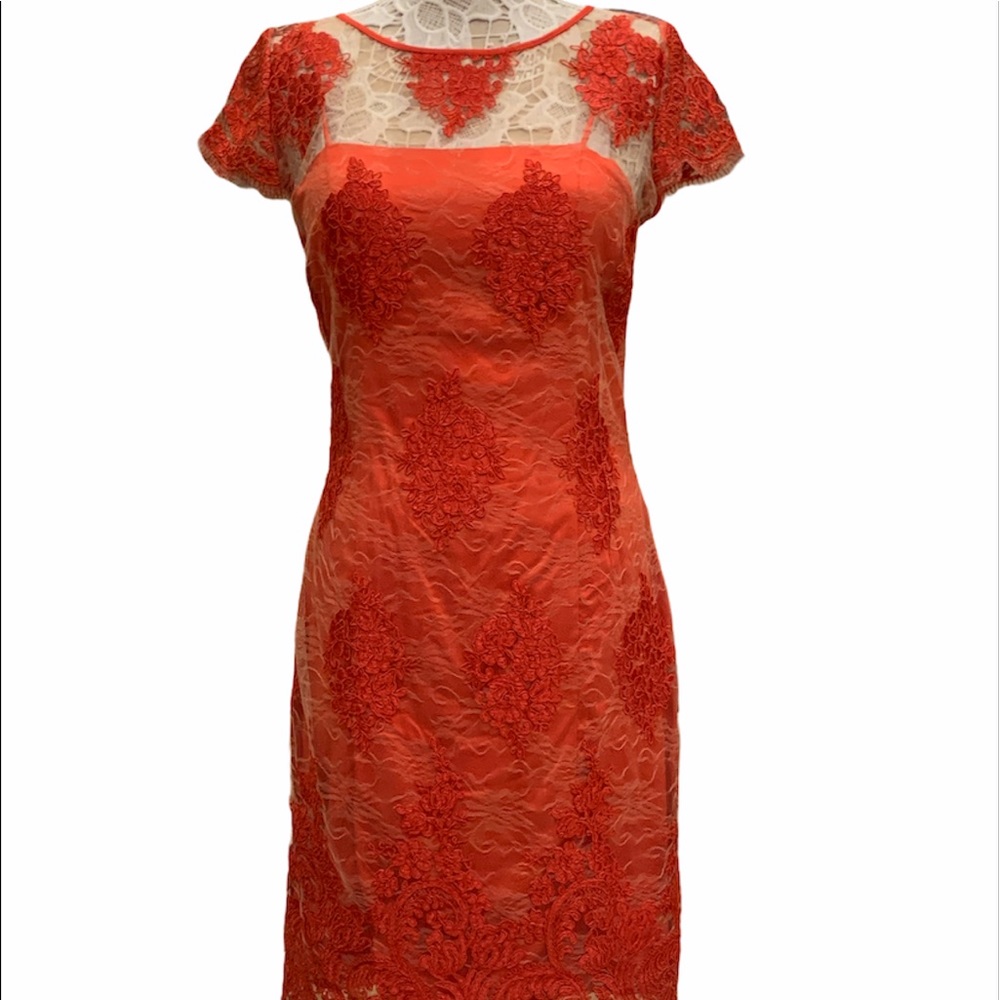 Kataya NWT lace dress sz 8